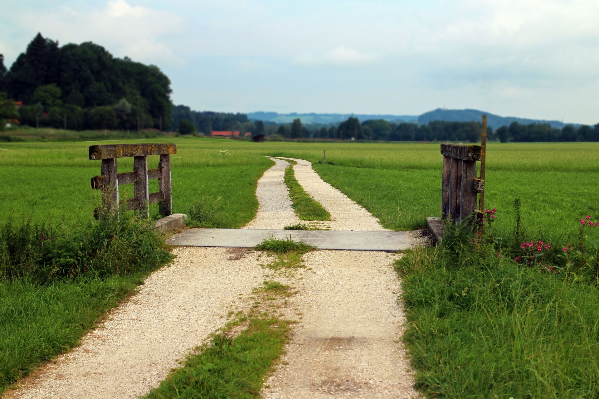 Why Insight Alone Doesn't Create Change